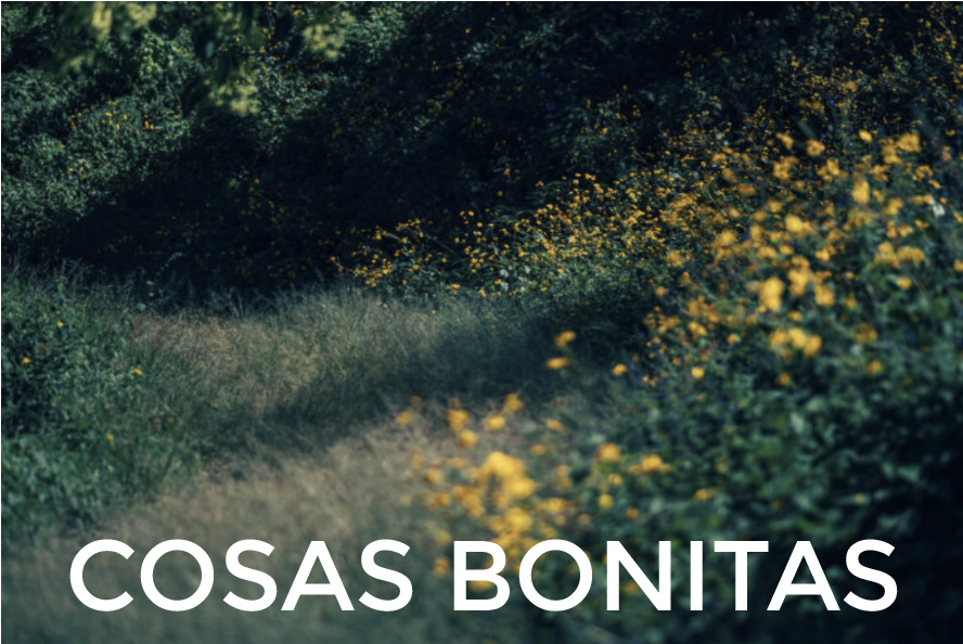 decoración artesanal y km0 en madera